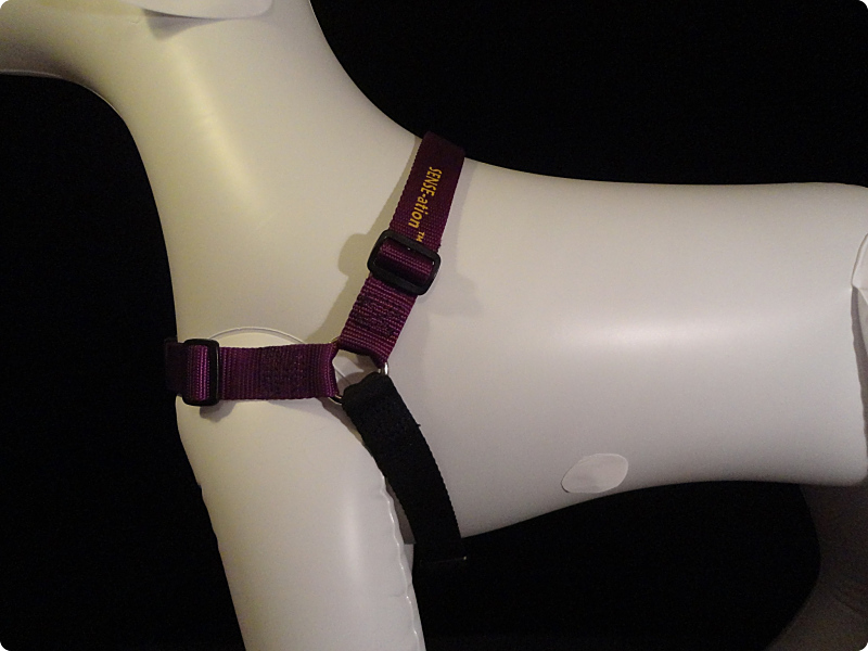 Because the chest strap wants to fall forward, and because a leash is attached to the chest strap causing additional forward pressure, this harness wants to pull forward into the leg. It's a red flag for rubbing raw spots in the armpits.