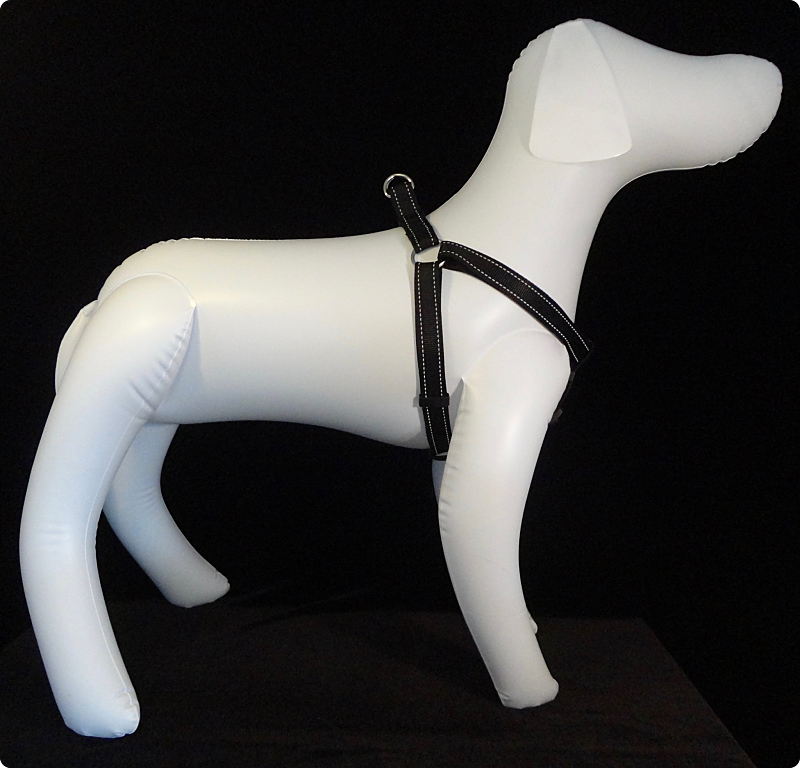 Sensation harness for dogs top