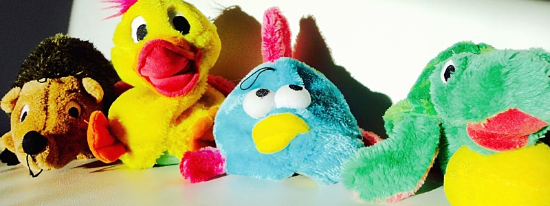Notice how all the eyeballs and appendages are intact? A success!!