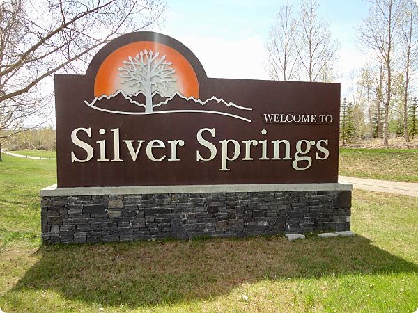Silver Springs 4_opt.jpg