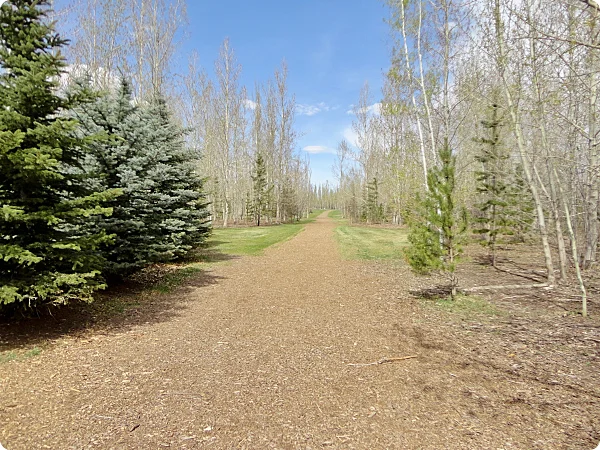 Silver Springs 6_opt.jpg
