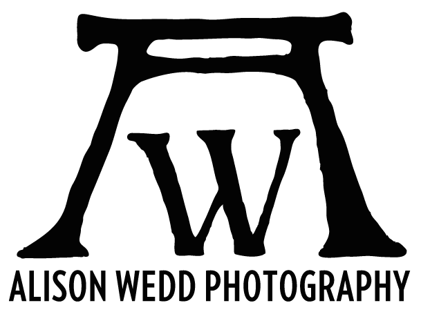 Alison Wedd Photography