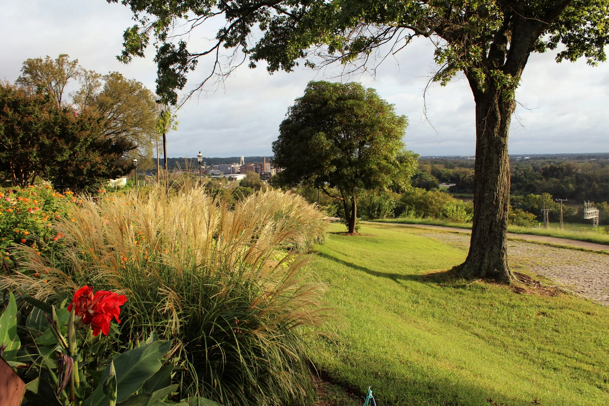 The selection of grasses not only directs the views to the James River, but also softens the edges of pathways along the way.