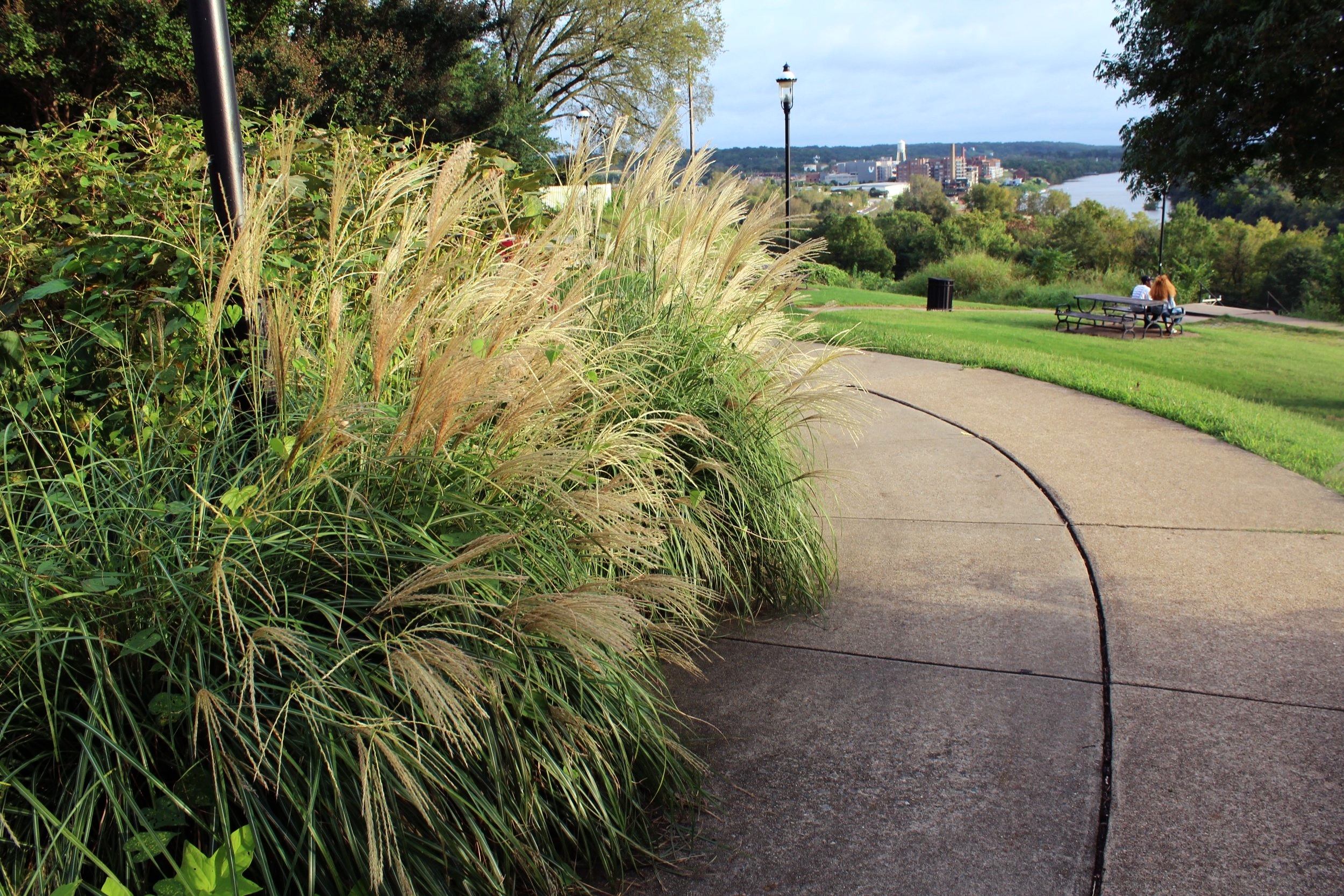 The selection and placement of the plants create a journey and anticipation to the major reveal of the significant view.