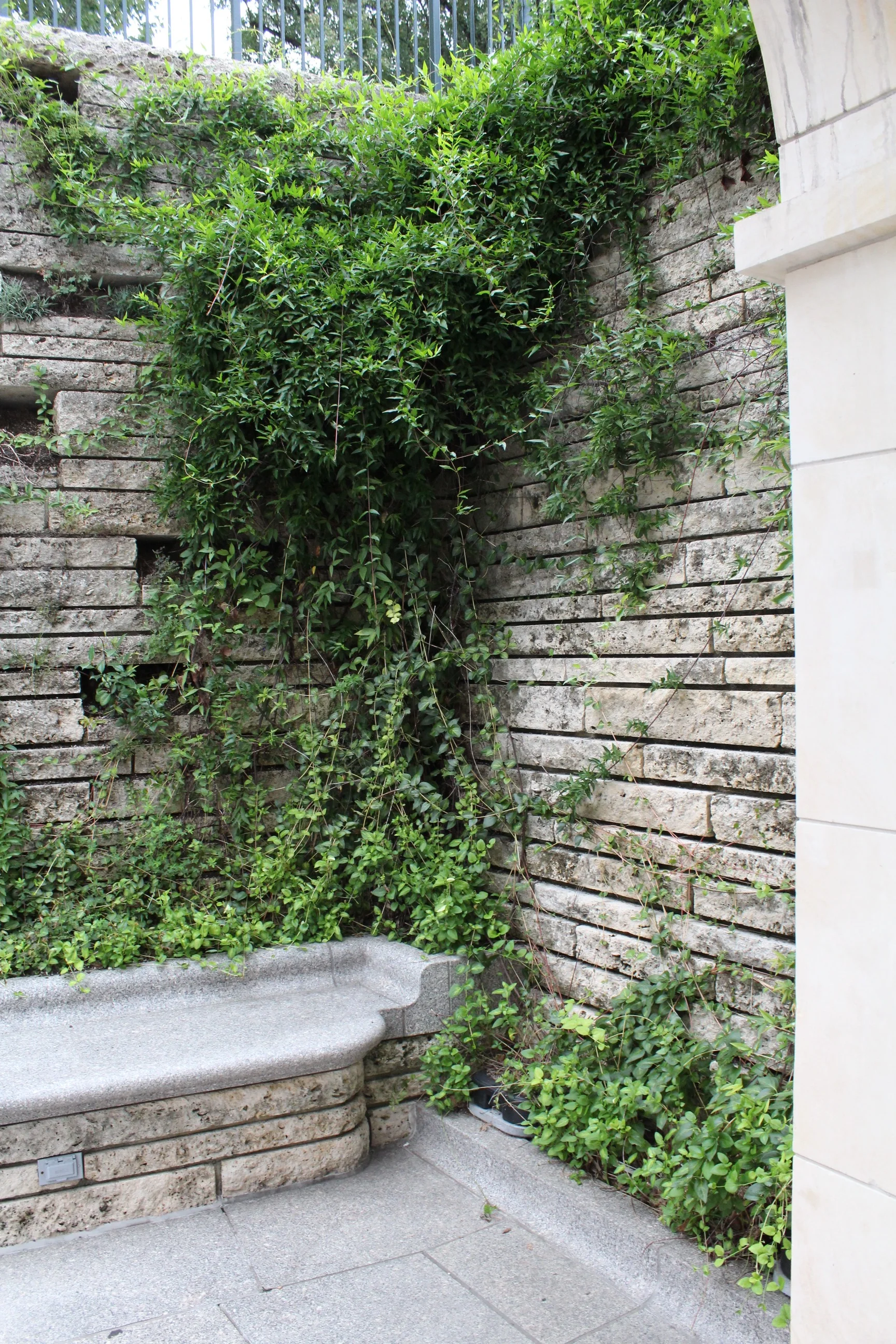 CAPITOL SQUARE//ELYANA JAVAHERI