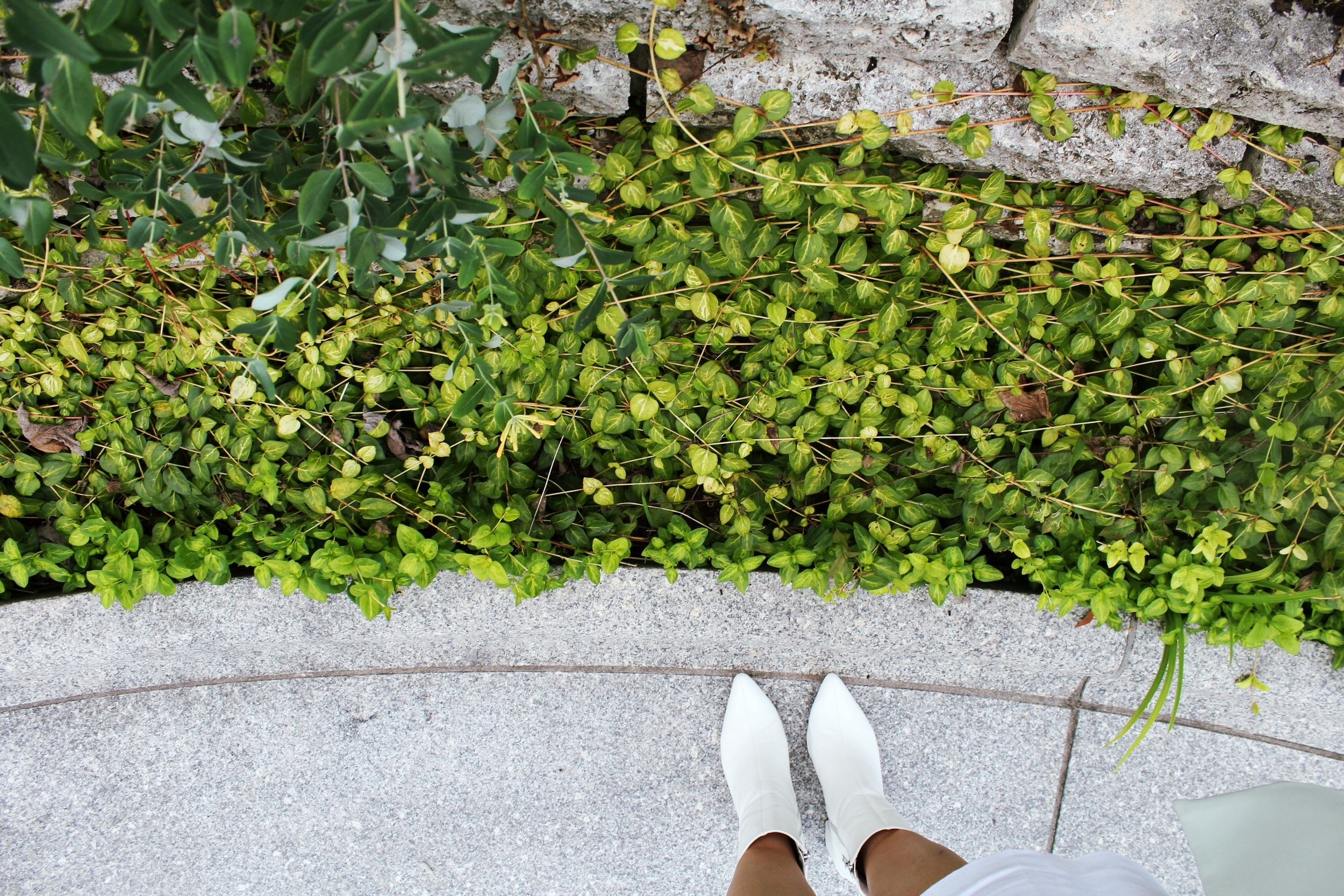 The softness of the plants add a visual interest to the continuous wall and seat combination.