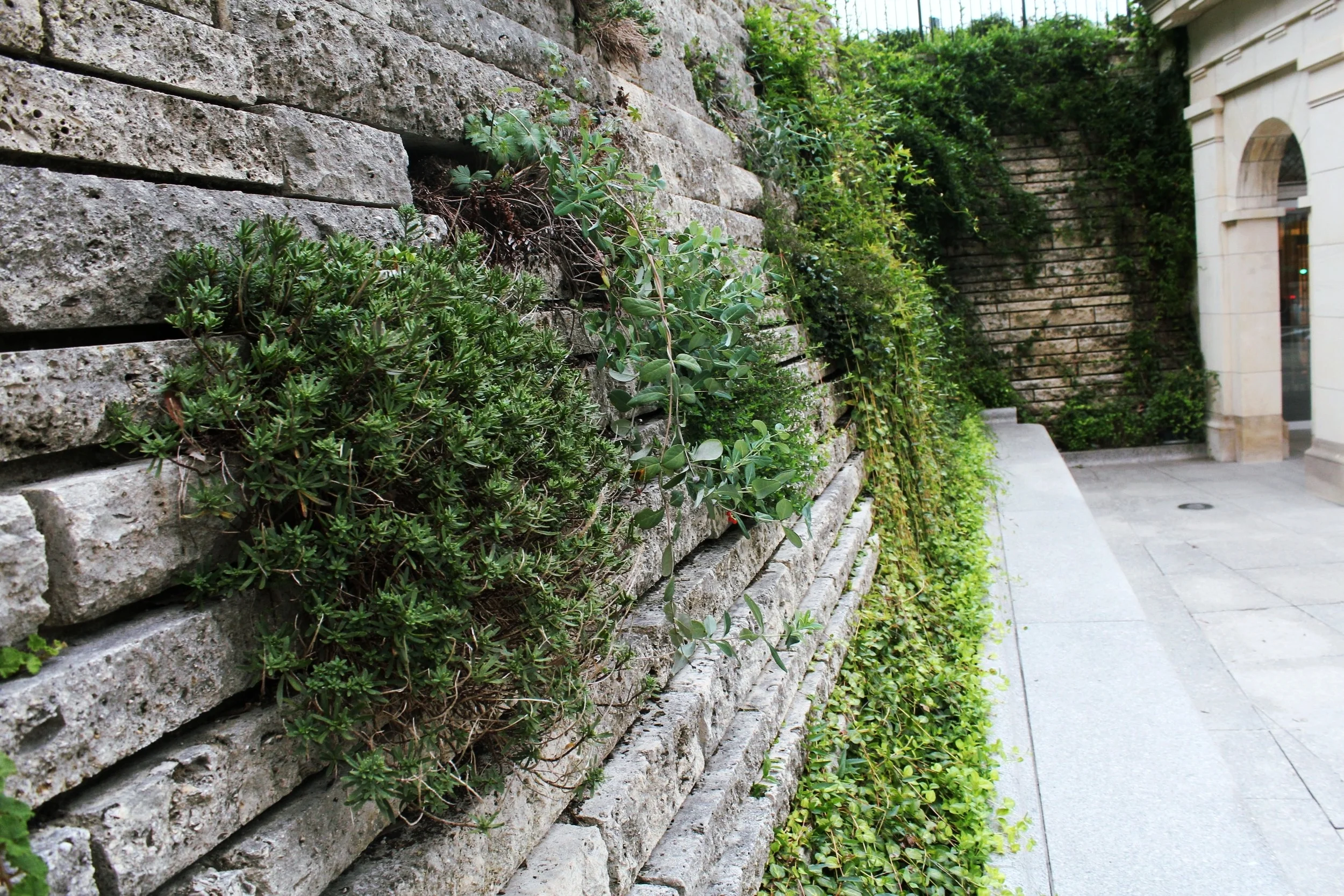 CAPITOL SQUARE// ELYANA JAVAHERI