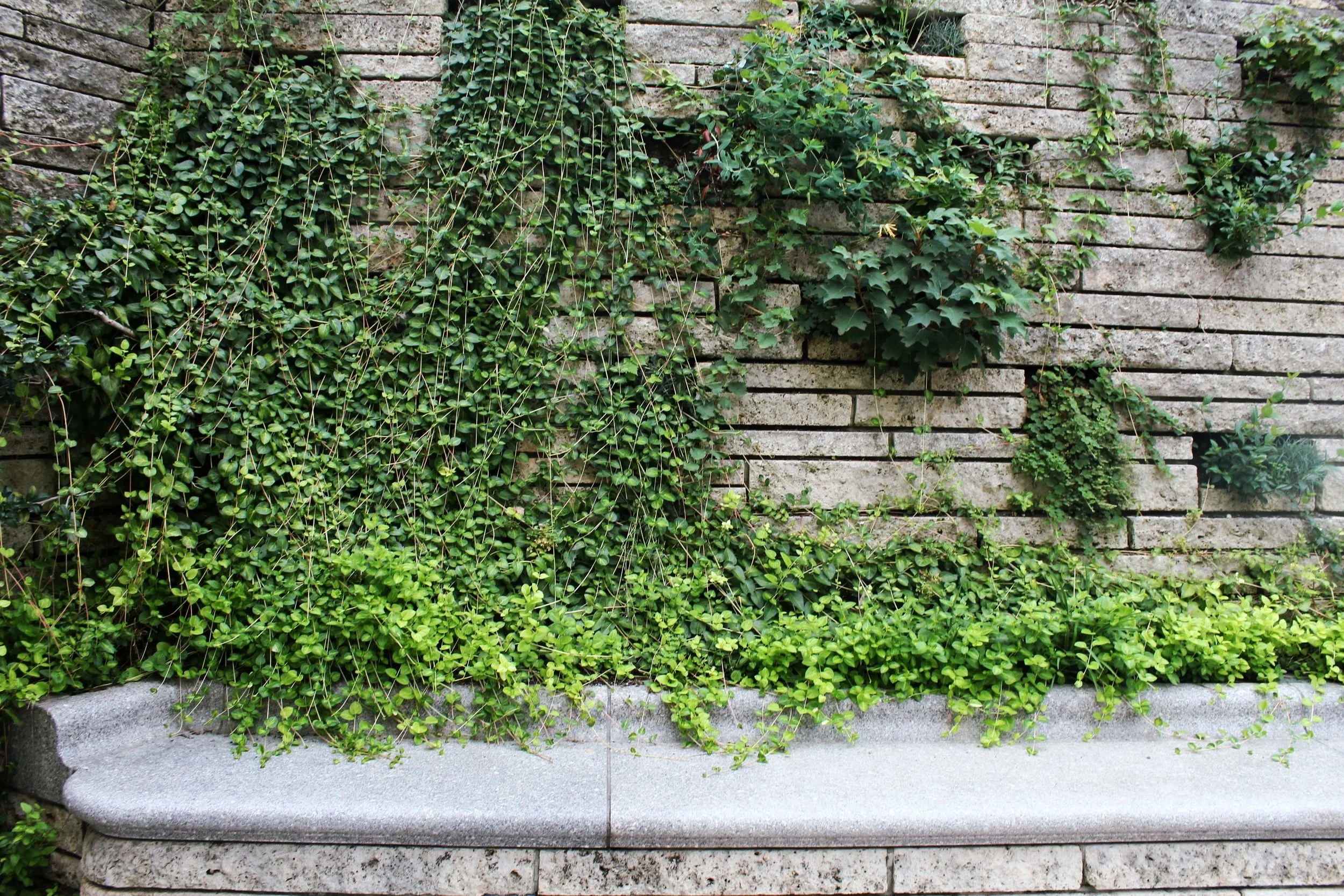 CAPITOL GROUNDS//ELYANA JAVAHERI