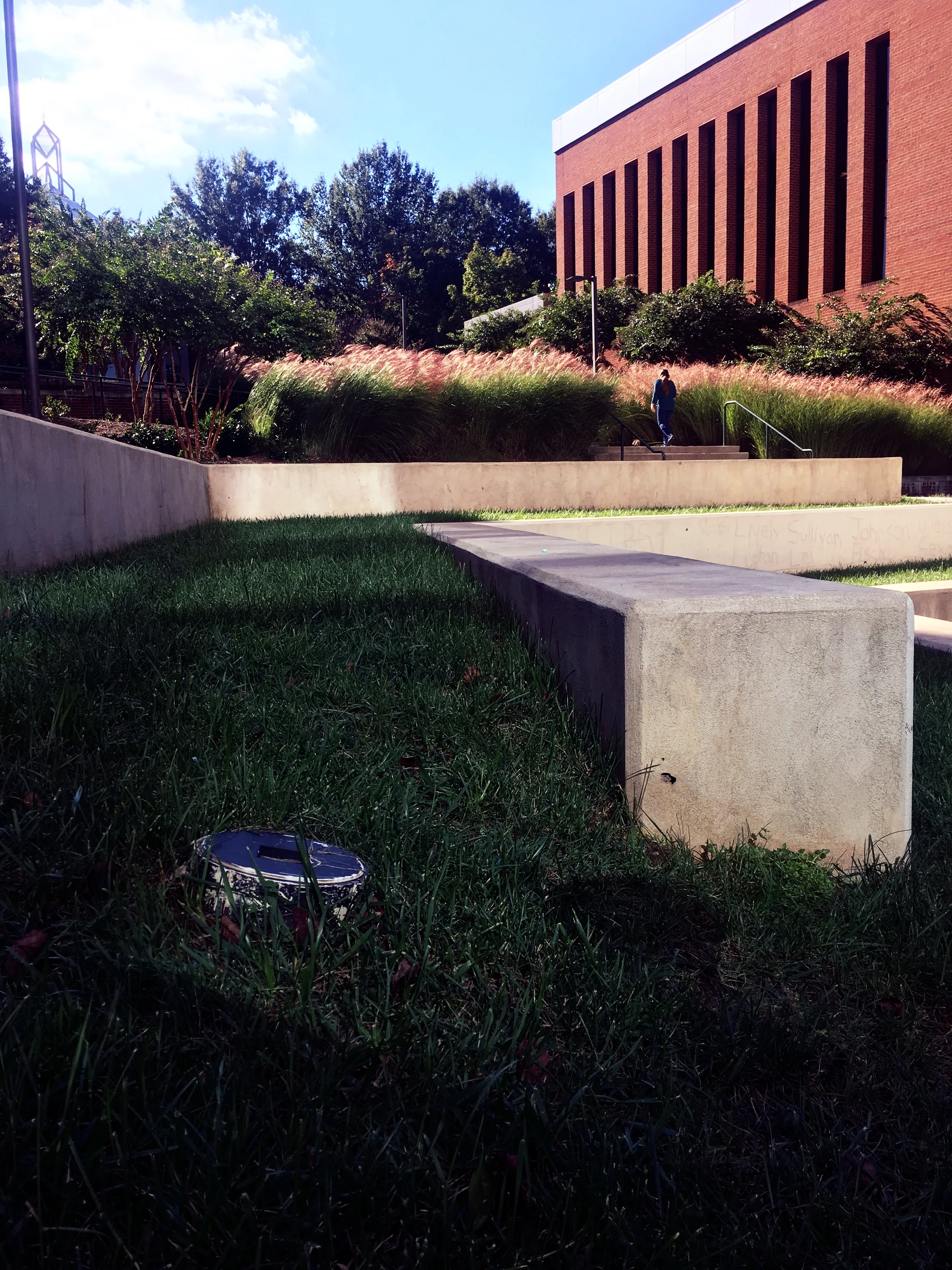 Rows of Miscanthus ‘Morning Light’ creating a soft wall between the amphitheater and the spaces beyond.
