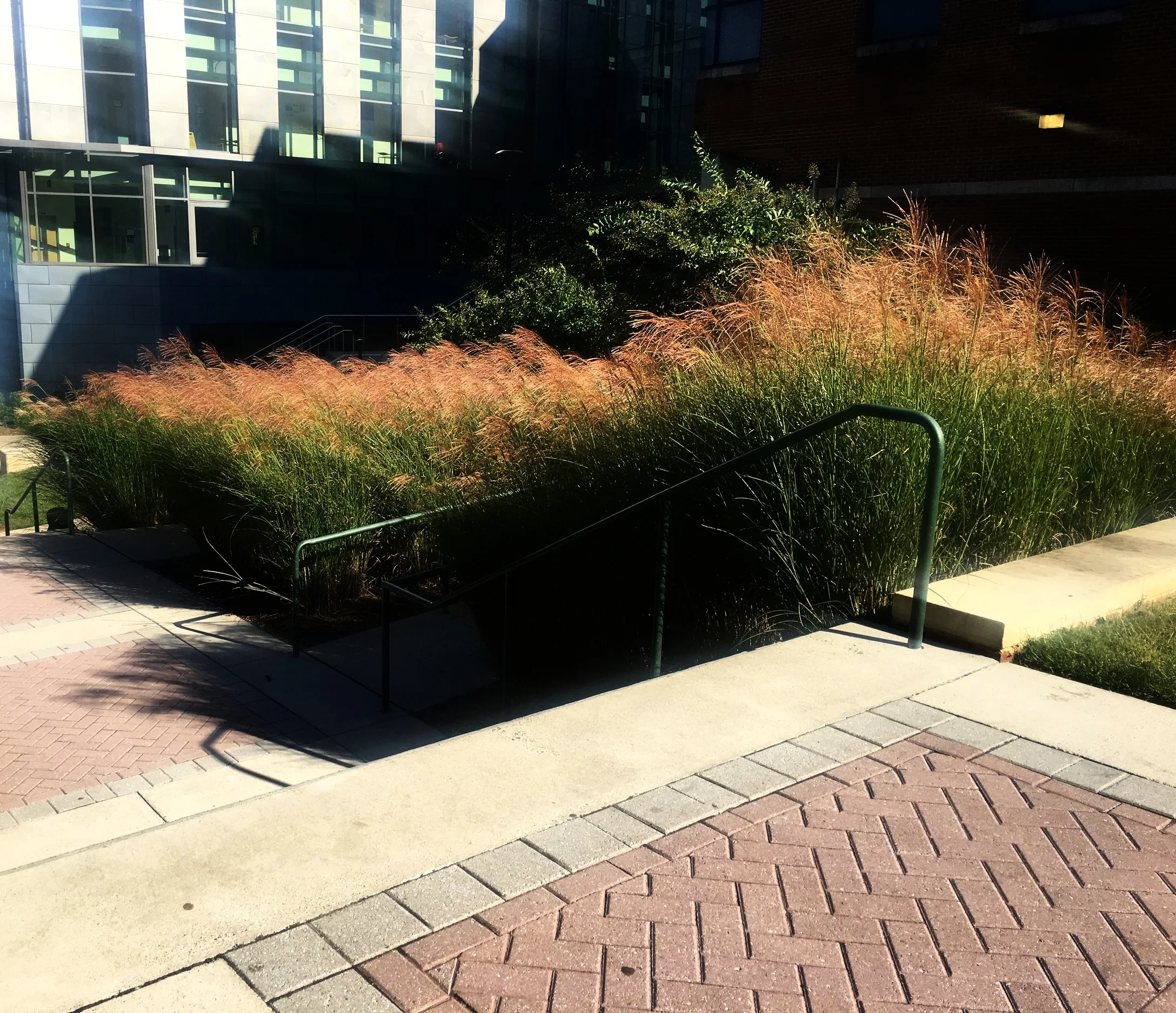 EXPLORATORY HALL//ELYANA JAVAHERI