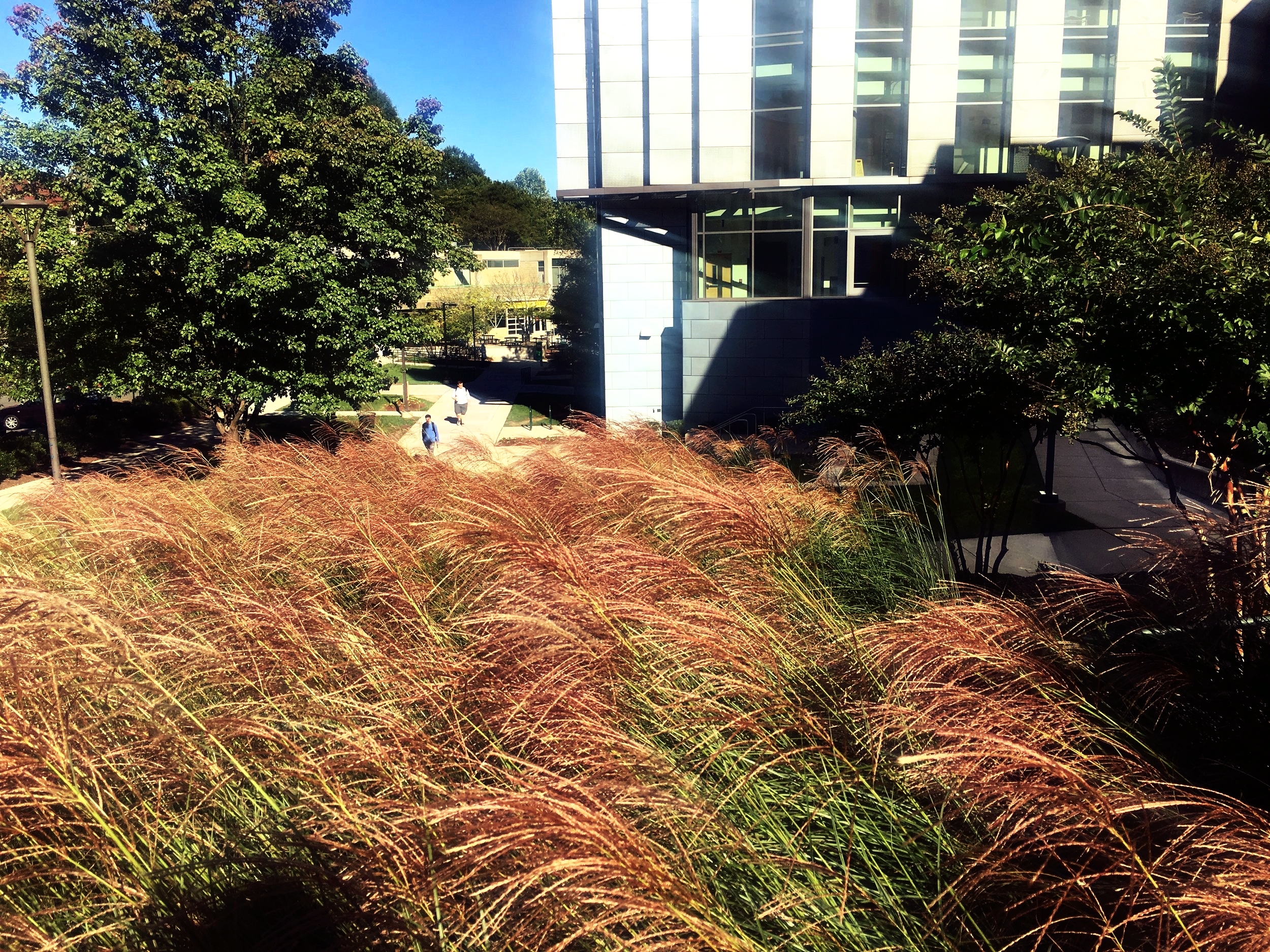 EXPLORATORY HALL//ELYANA JAVAHERI