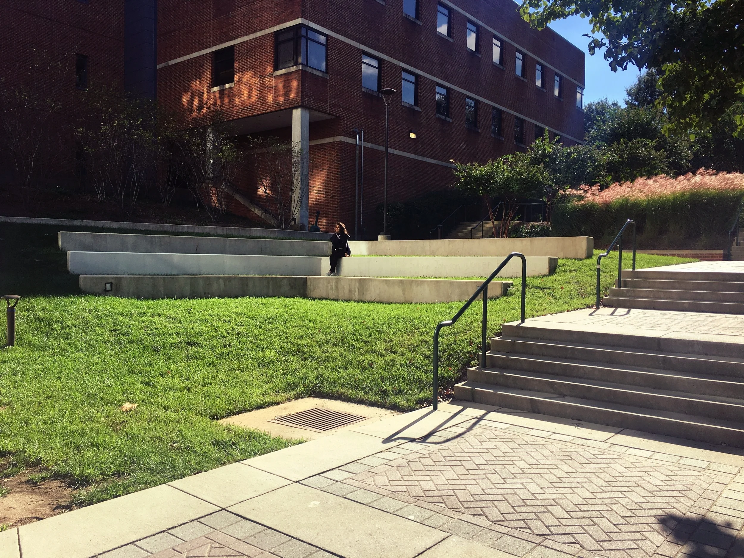 EXPLORATORY HALL//ELYANA JAVAHERI