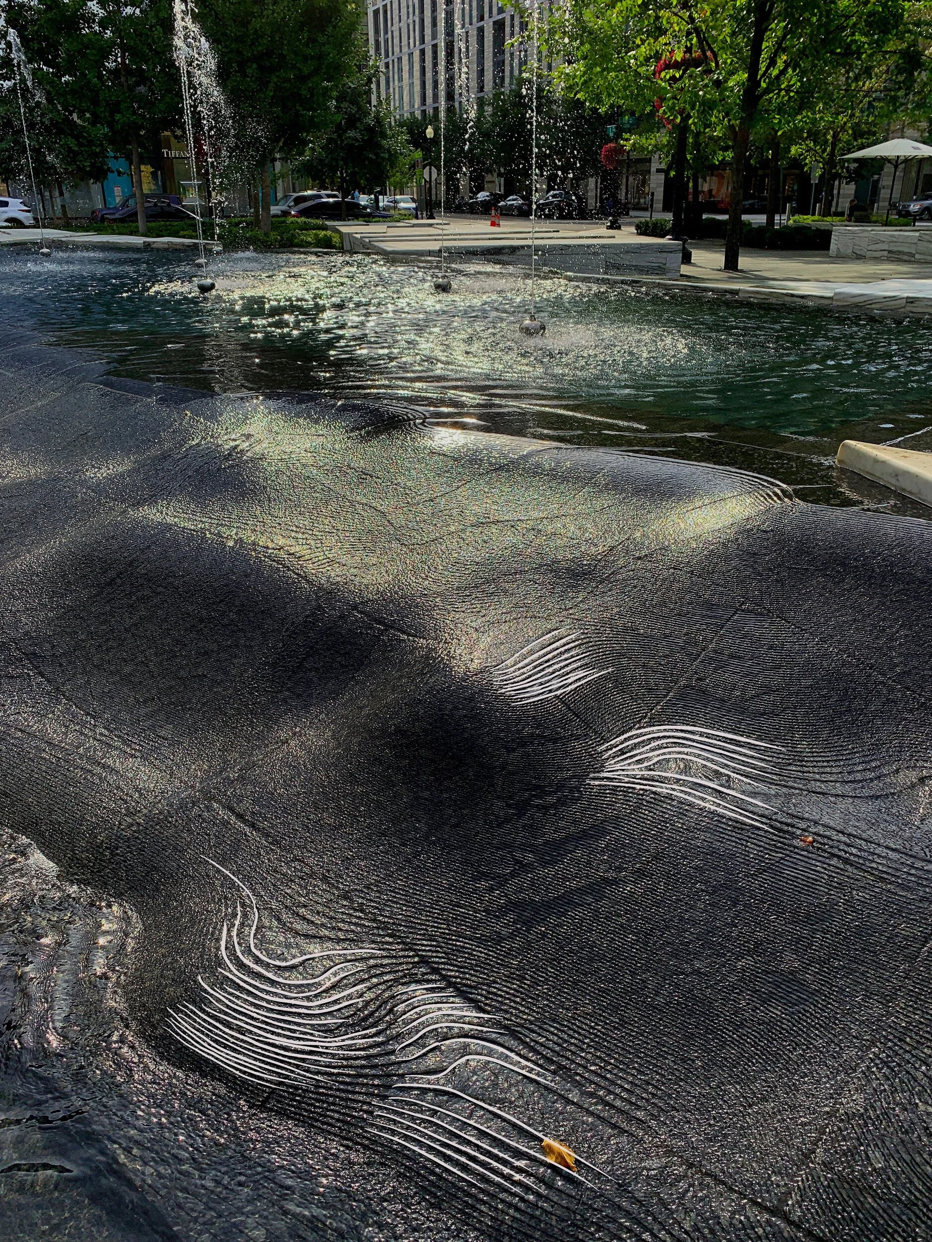 The topographic water element at the edge of New York Avenue is a showstopper