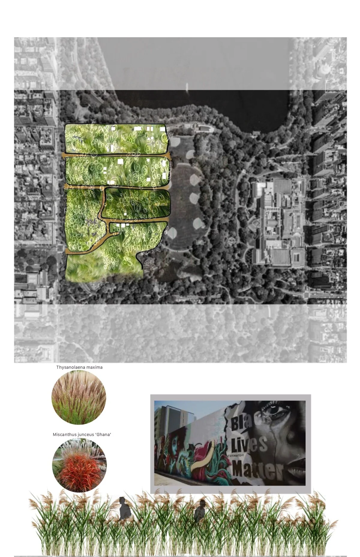 Elyana Javaheri/ Reclaimed Land - After