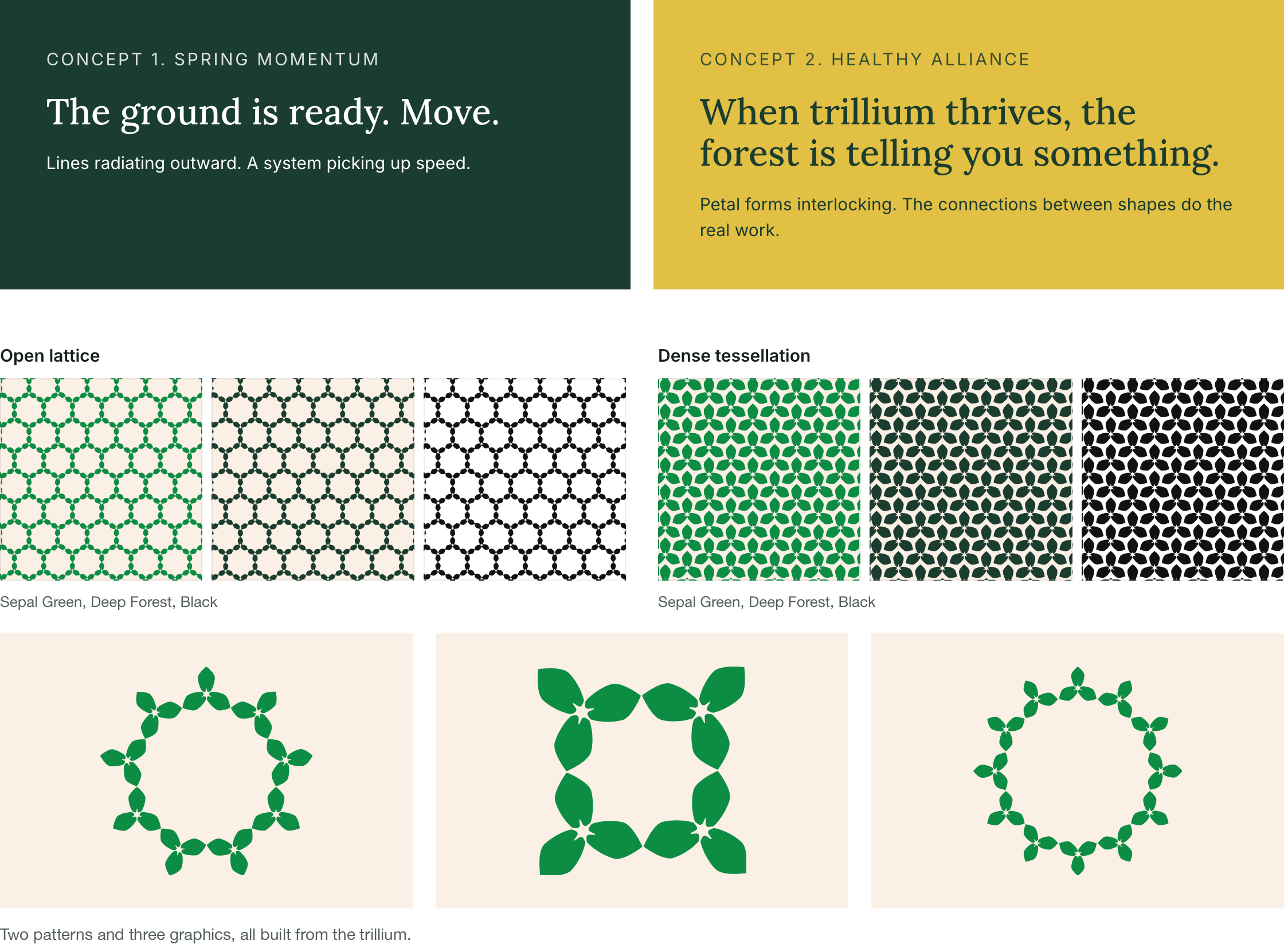 Two pattern concepts, Spring Momentum and Healthy Alliance, above the final system: the open lattice and the dense tessellation in Sepal Green, Deep Forest, and black, plus three trillium graphics. All built from the trillium.