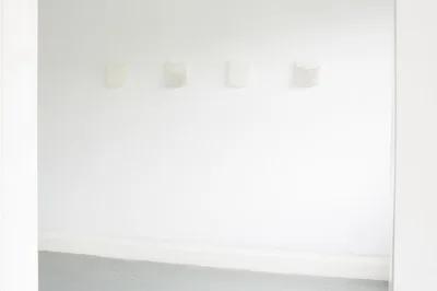 6237254.jpg