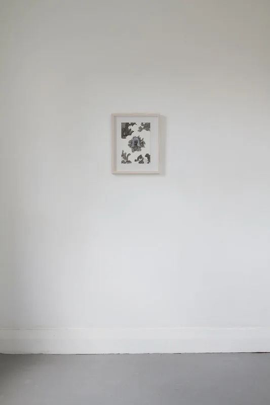 49304_orig.jpg
