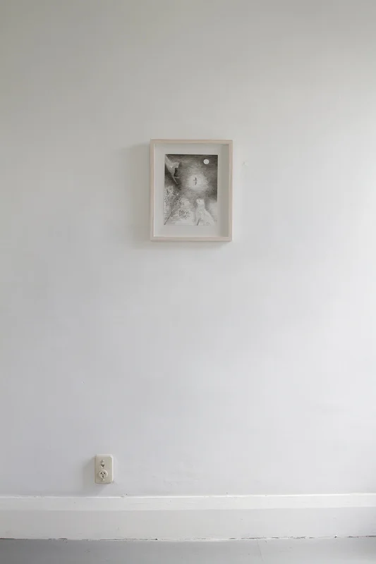 5056752_orig.jpg