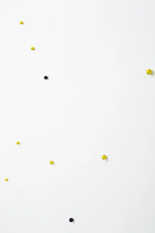 4301409_orig.jpg