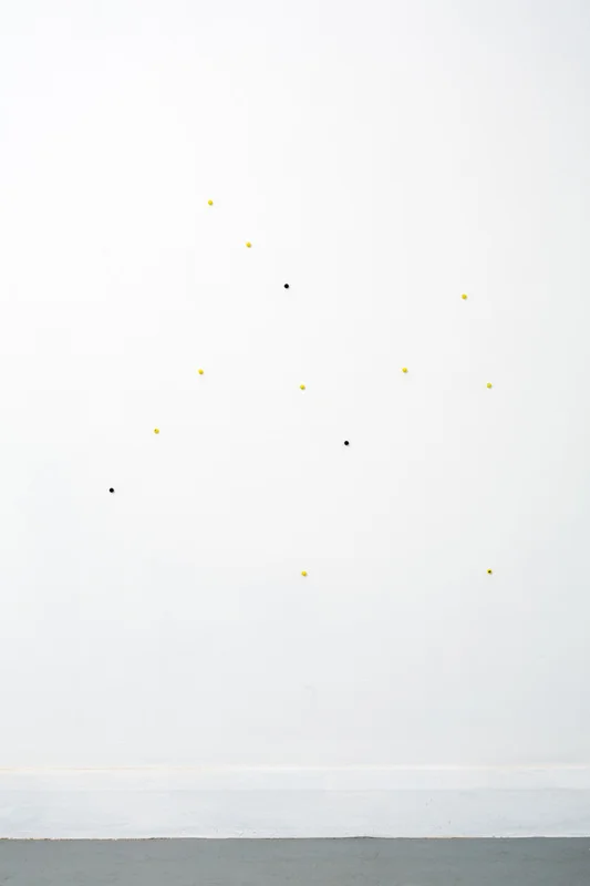 5571149_orig.jpg
