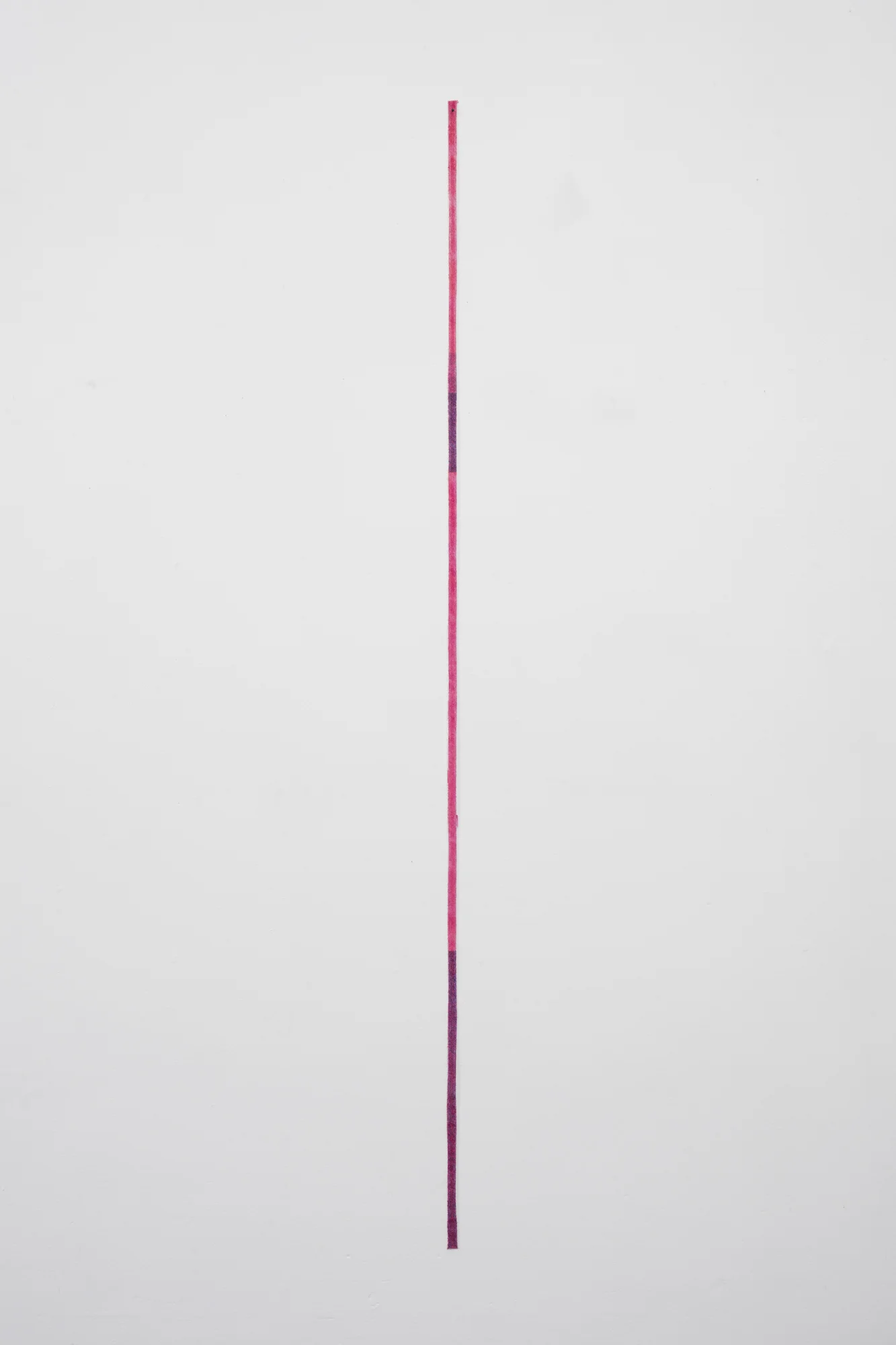 No title 2015 Acrylic and gesso on fabric 1160 x 10mm
