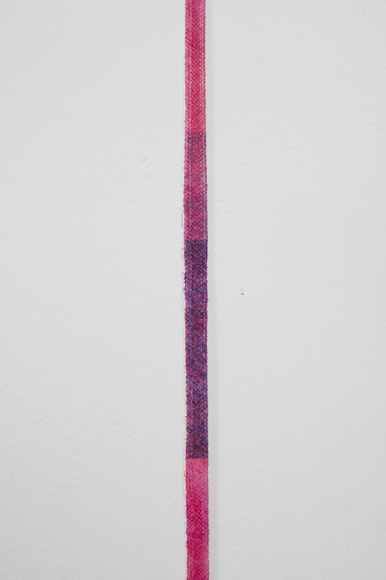 No title (detail) 2015 Acrylic and gesso on fabric 1160 x 10mm