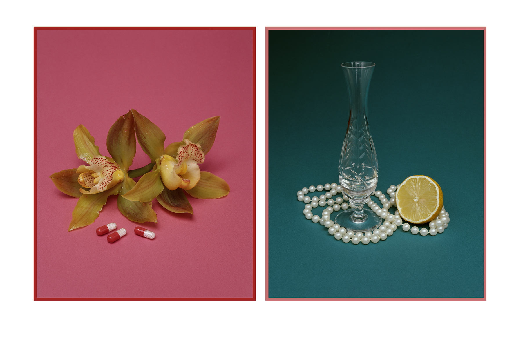 Still Life with Diet Pills / Still Life with Lemon 1999 Diptych, C-type prints, edition of 3 + 1 AP 310 x 250mm each 395 x 680mm framed