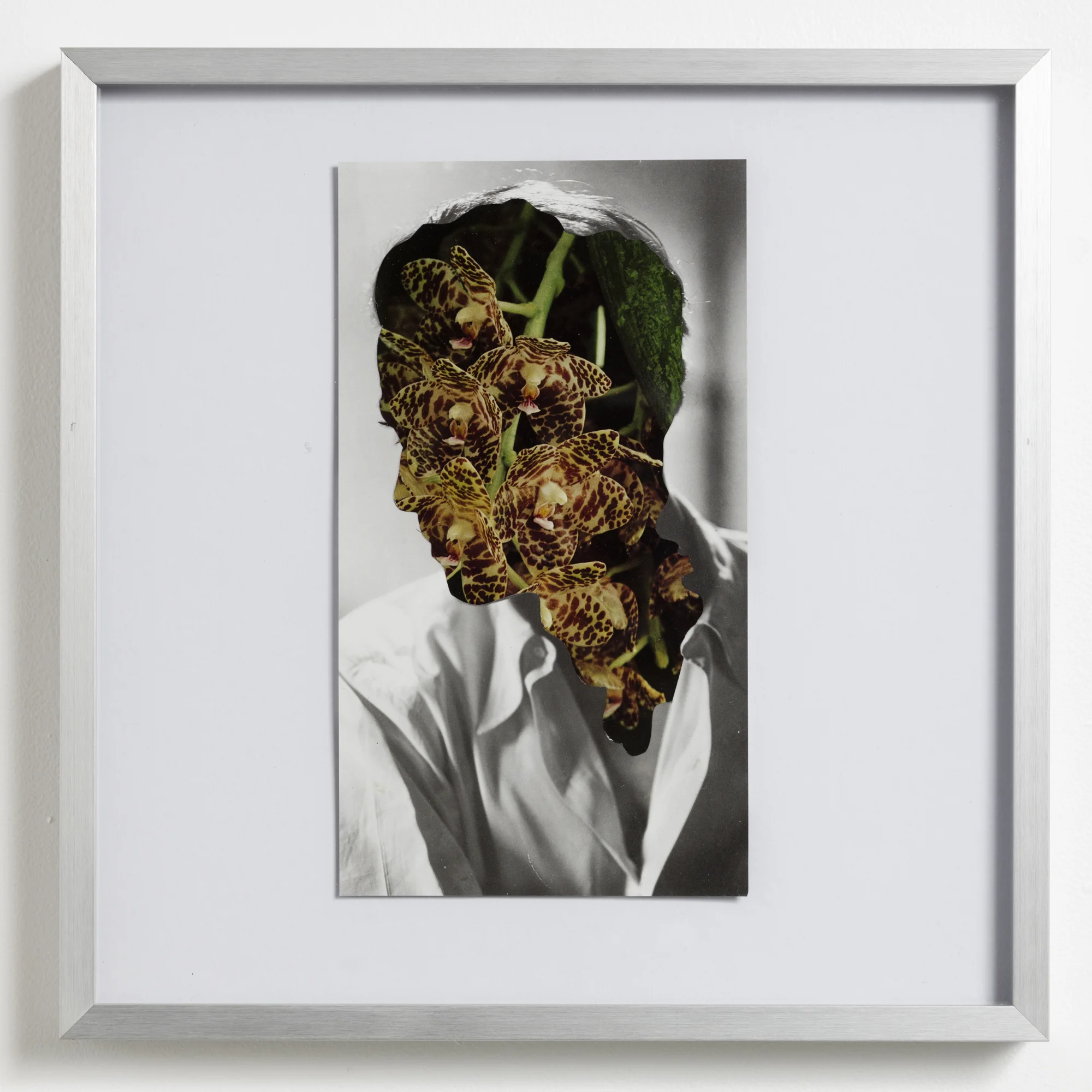 Unknown Man in Orchids 2016 collage 225 x 125mm