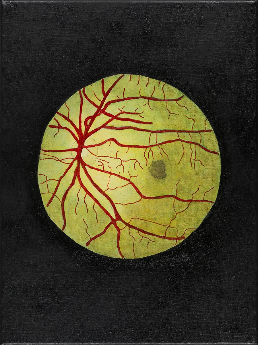 Retinal 2016 oil, watercolour and coloured pencil on linen 400 x 300mm