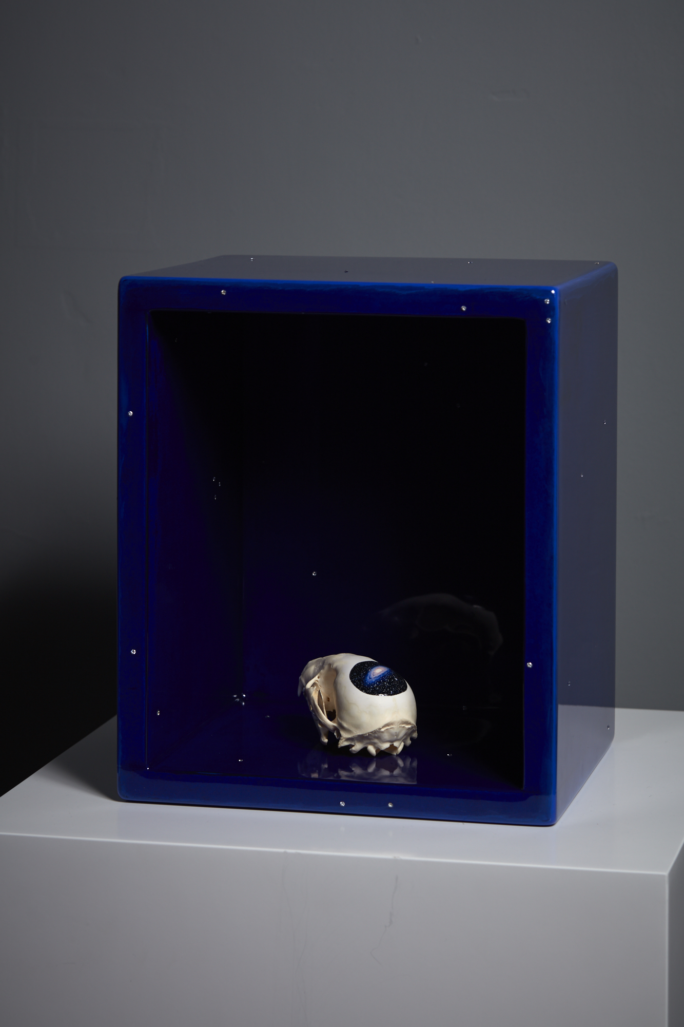 Liz Maw Andromeda in the Universe Box 2012/2015/2017 oil on found skull, wood, acrylic, resin and cubic zirconia 320 x 265 x 230mm