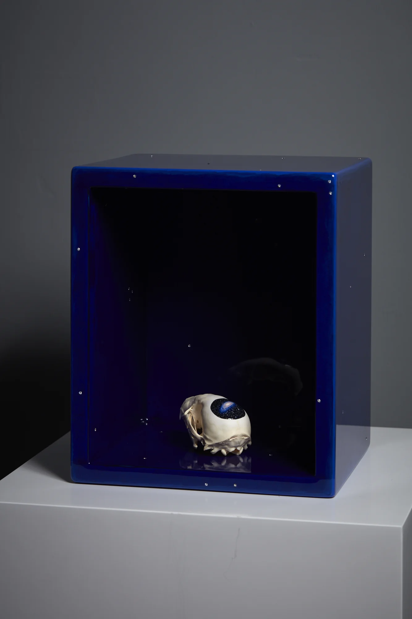 Liz Maw Andromeda in the Universe Box 2012/2015/2017 oil on found skull, wood, acrylic, resin and cubic zirconia 320 x 265 x 230mm