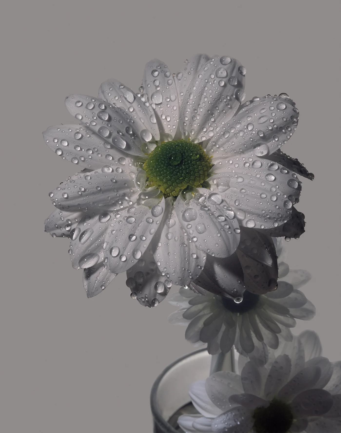 Yvonne Tod Cleave 2017 c-type print from 4x5 inch transparency film, edition of 3 + 1 AP 500 x 395mm