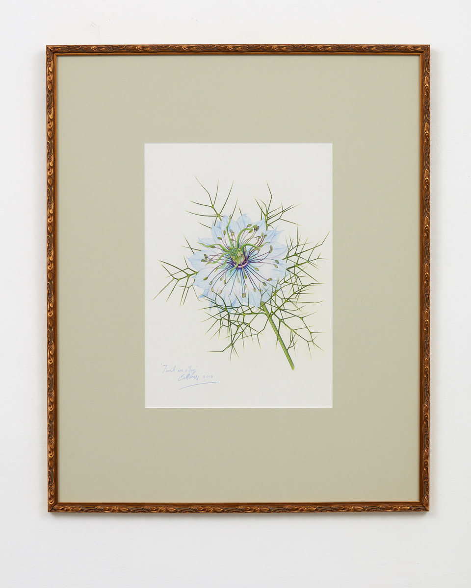 Fuck in a Fog 2018 watercolour pencil on paper 370 x 270mm