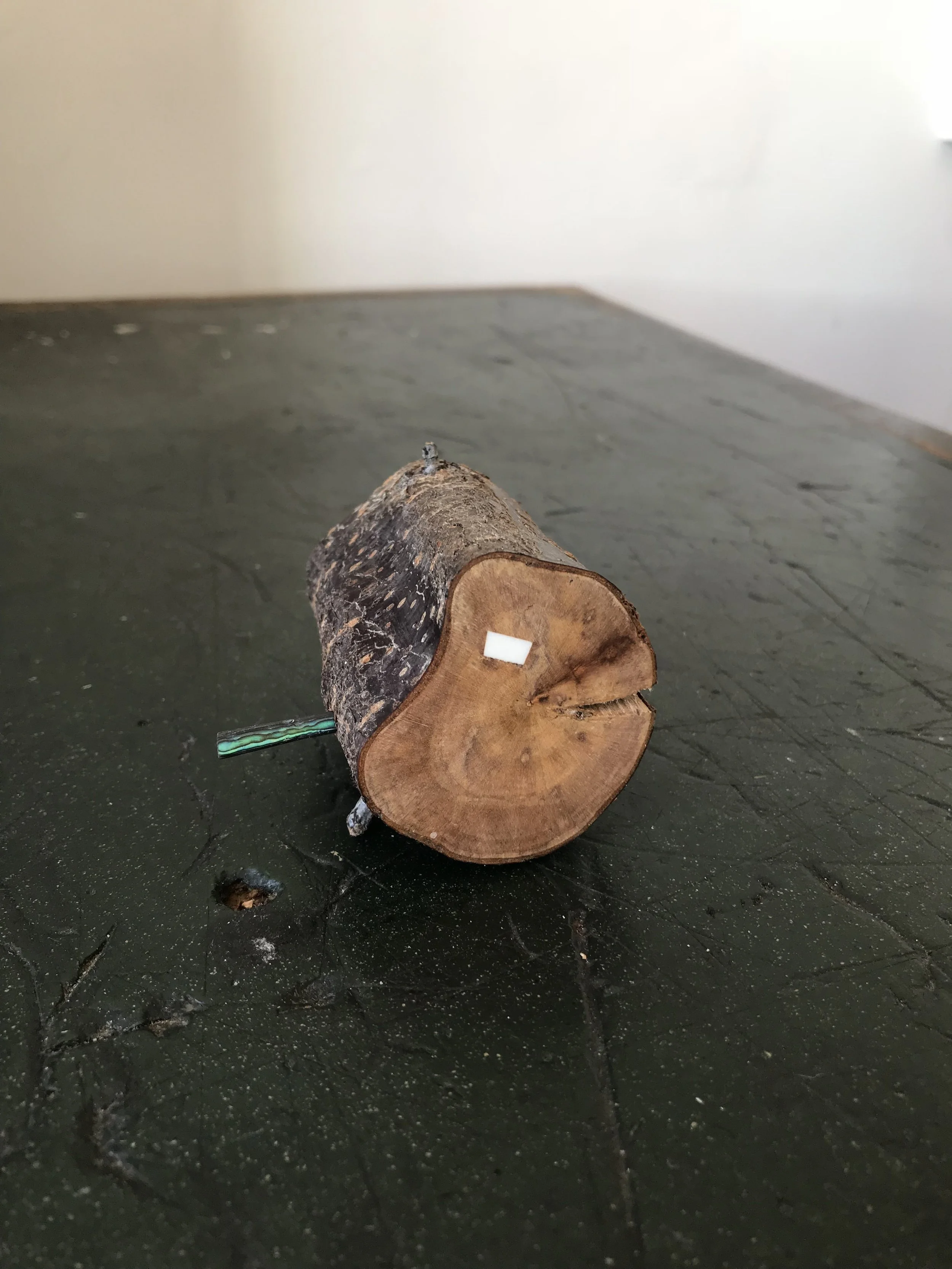 notes (iii) 2017 plum, paua shell, sheep bone 60 x 65 x 45mm