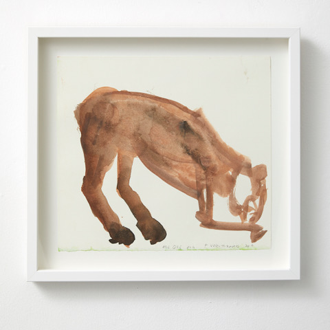 Dog dog dog 2019 watercolour on paper 270 x 296mm