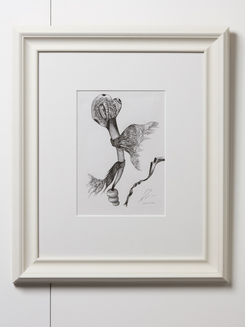 Bill Hammond Cornwall Road II 2011 ink and graphite on paper 295 x 210mm
