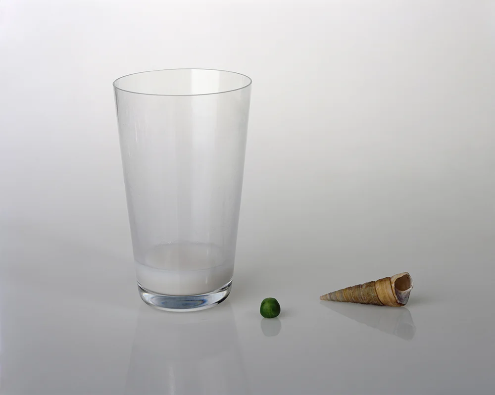 Still Life.jpg
