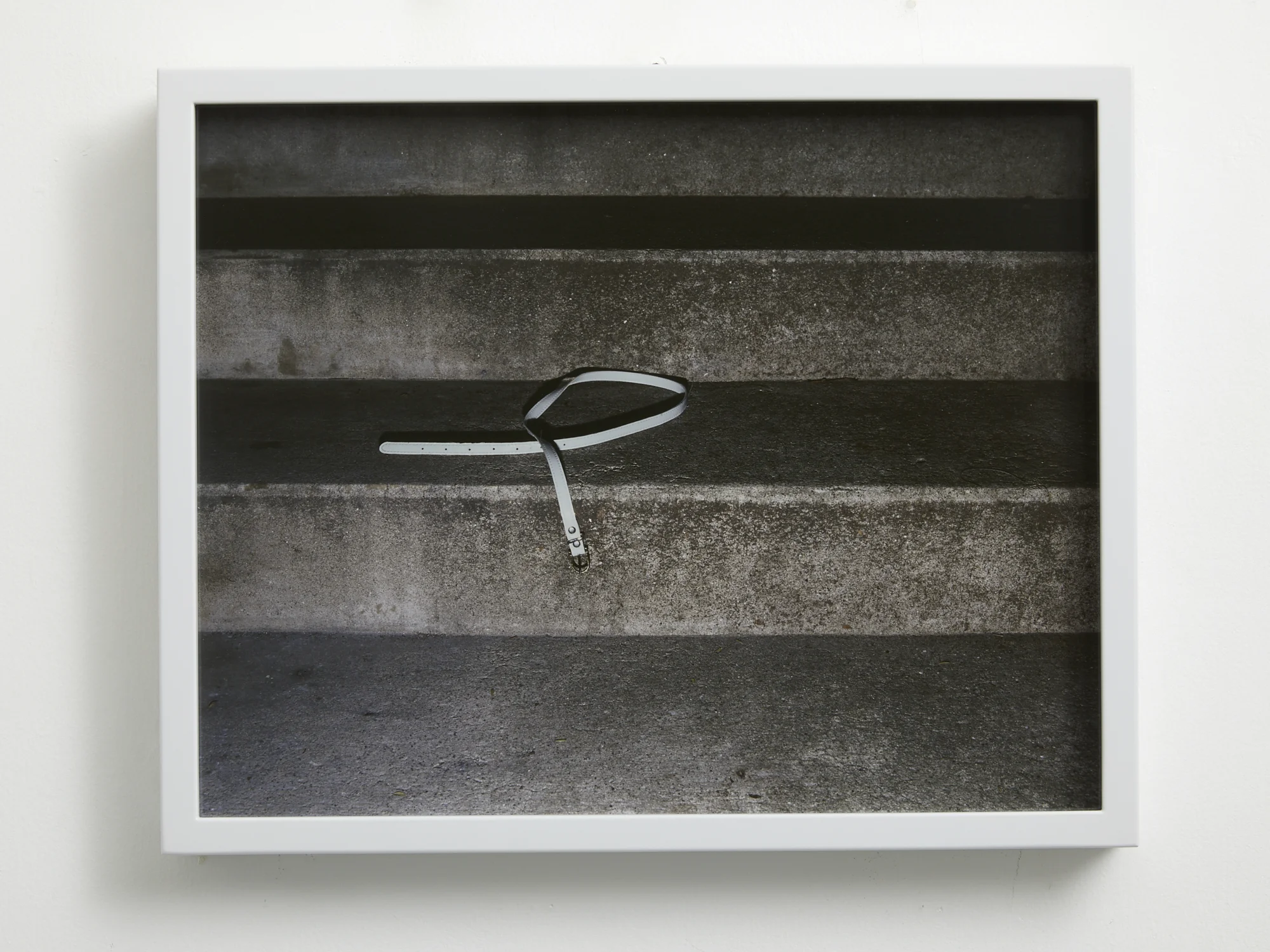 Phaedra 2000 c-type photograph, edition of 3 + 1 ap 306 x 384mm