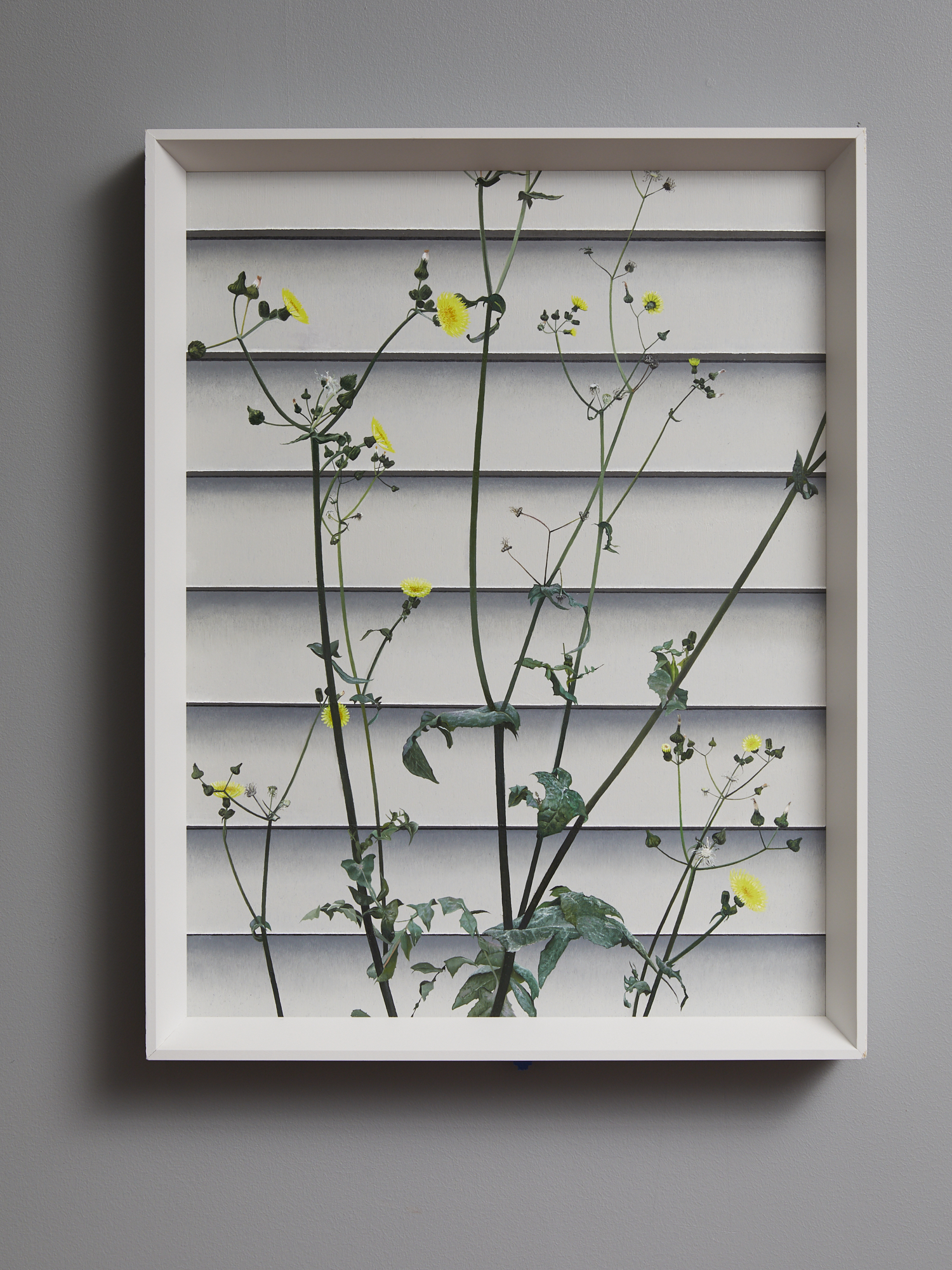 Weeds 3 2019 oil on board 385 x 290mm