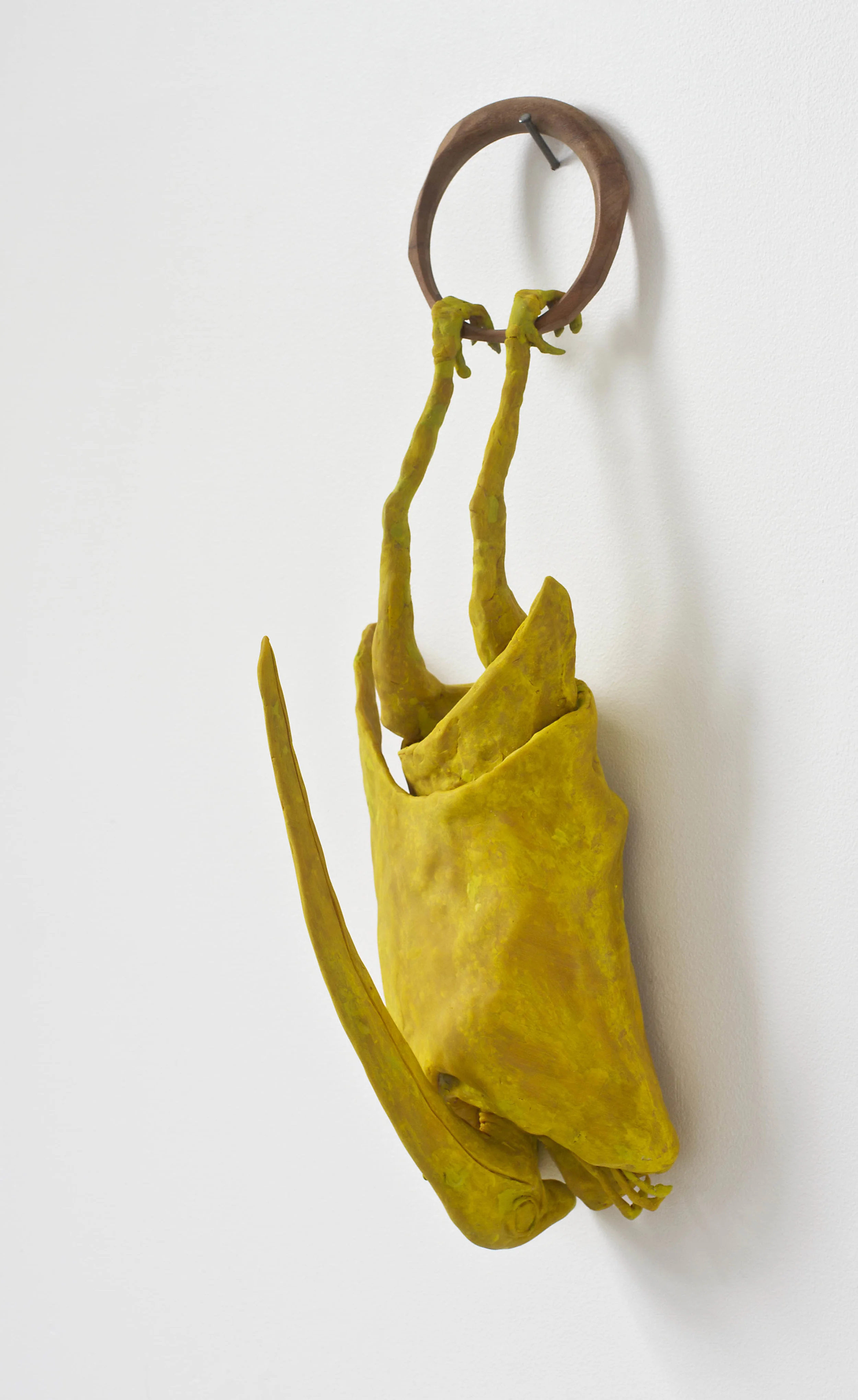 Sleeping Pterodactyl 2011 sculpy, foil, wire, paint, wood 460 x 180 x 150mm