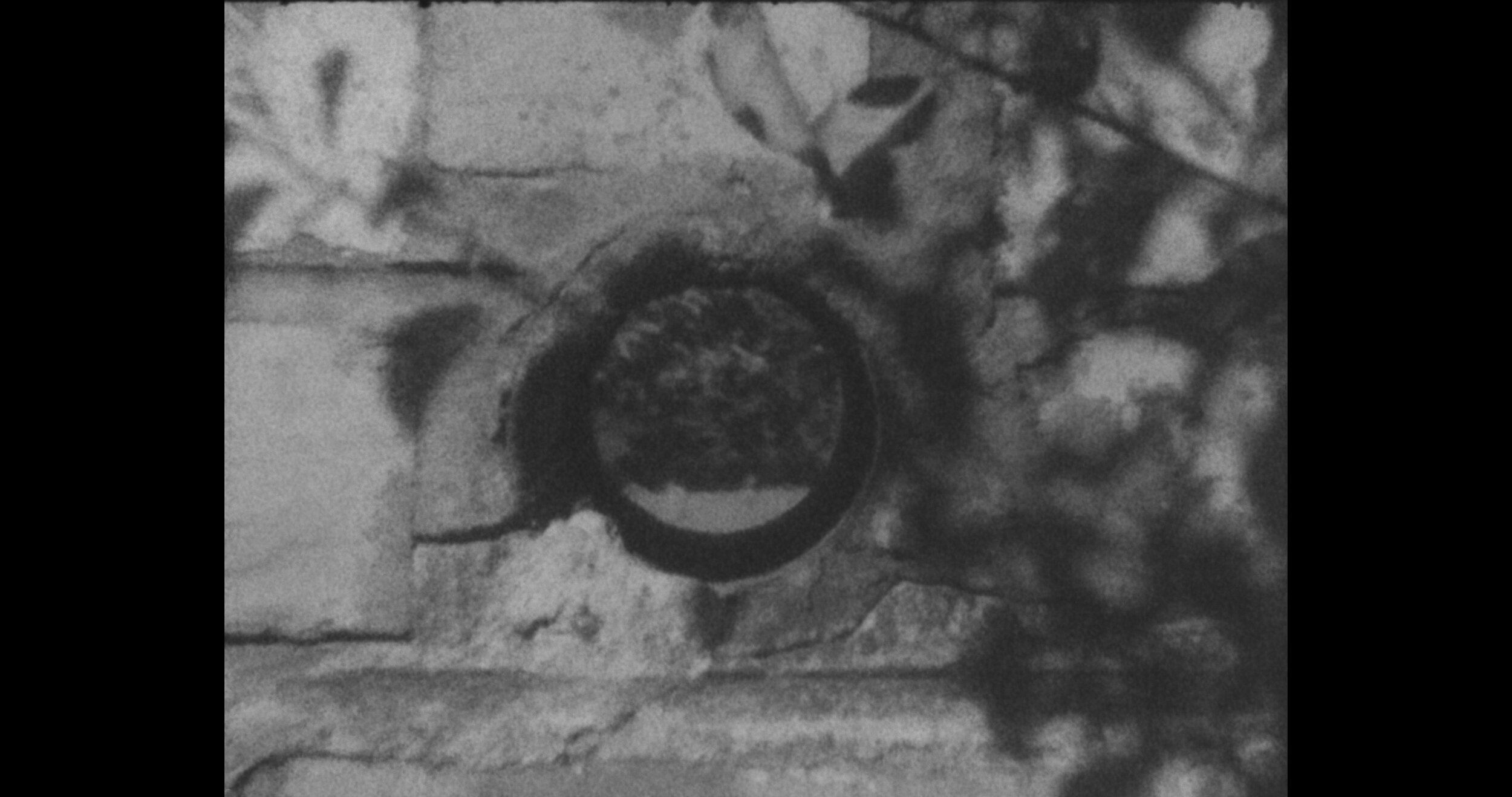 Ghosting (The Garden) (still) 2020 single channel video (colour/sound), 12:50:00mins, Super 8 film scanned to 4k digital, edition of 3 + 1 AP Text by Theo van Doesburg, The Other Face to be , De Stijl magazine, Vol XIII (1926), pg 64 Music