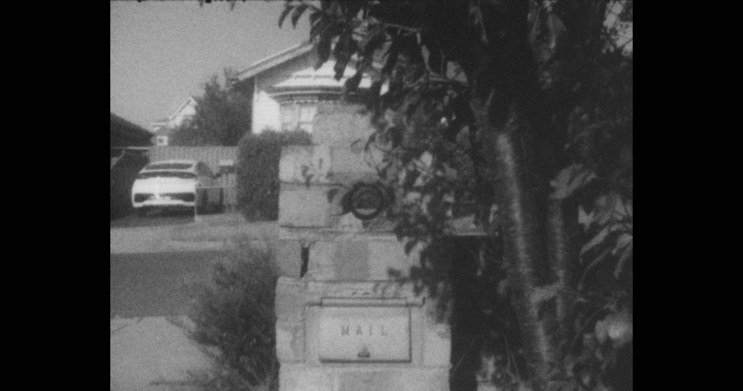 Ghosting (The Garden) (still) 2020 single channel video (colour/sound), 12:50:00mins, Super 8 film scanned to 4k digital, edition of 3 + 1 AP Text by Theo van Doesburg, The Other Face to be , De Stijl magazine, Vol XIII (1926), pg 64 Music