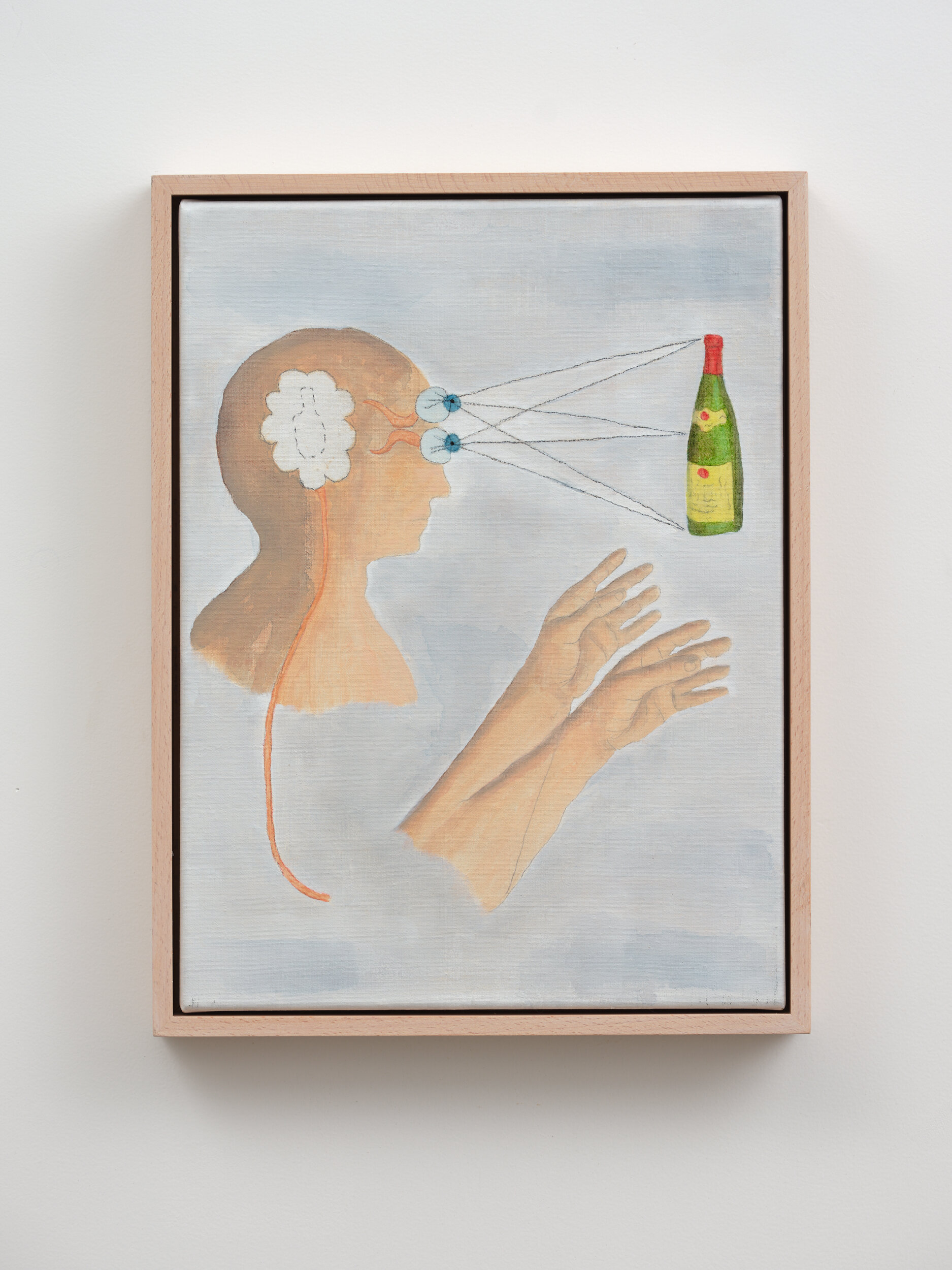 Mind/body problem , 2021 Coloured pencil, watercolour, and oil on linen 300 x 400mm (canvas), 330 x 430mm (framed)