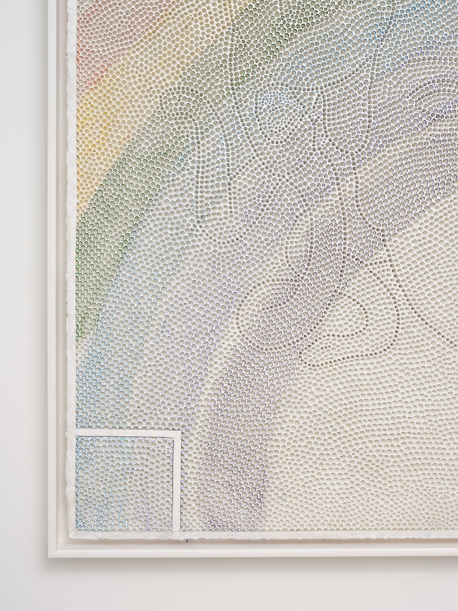 Serpent and the Rainbow (detail) 2024 acrylic on aluminium 1240 x 1220mm