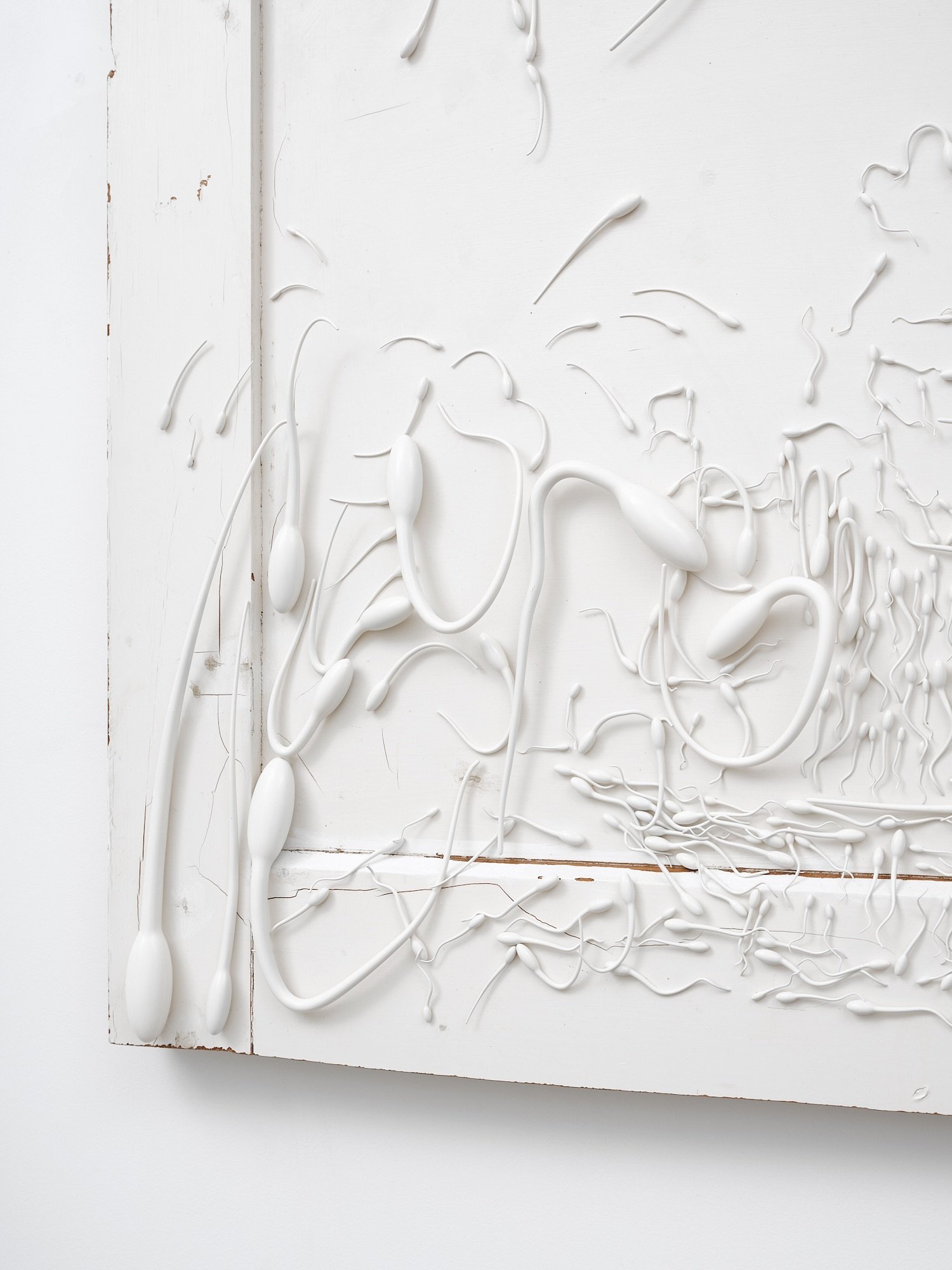 Door Drawing (Worm Paranoia) (detail) 2024 found door, UV resin, archival varnish, steel & paint 776 x 747 x 70mm