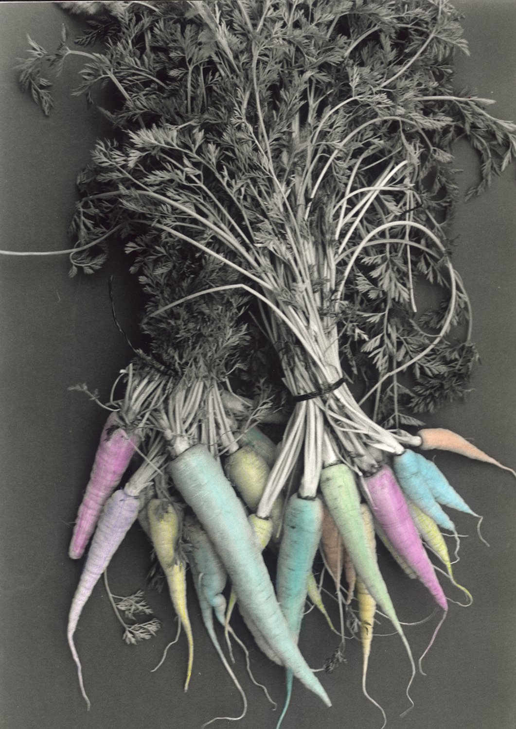 Ready and Silent 1993 darkroom hand print on fibre-based paper with hand-colouring, ed. 3 + 1 AP 320 x 215mm