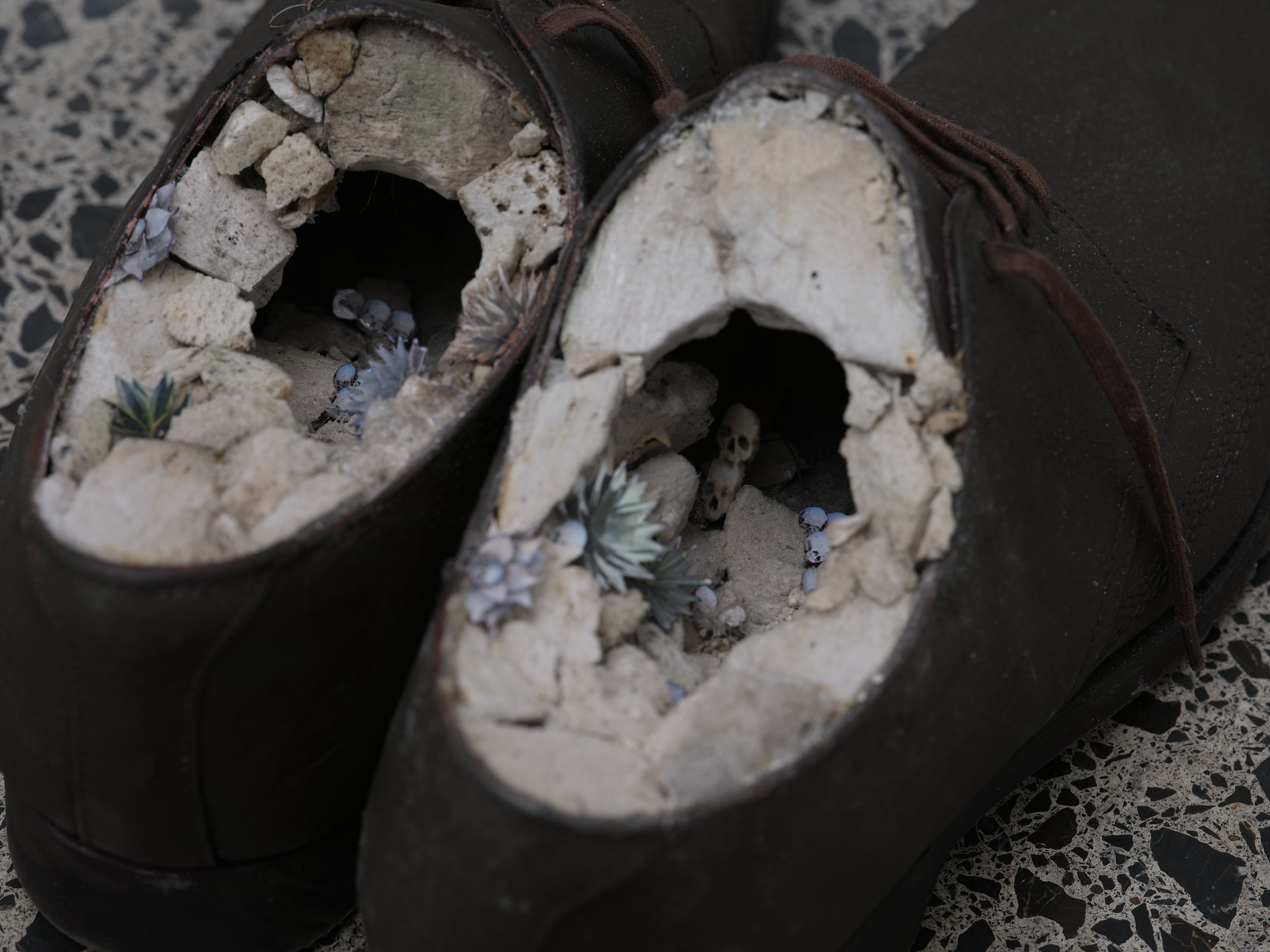 Plato’s Cave (detail) 2025 leather shoes, mixed media, inkjet collage dimensions variable