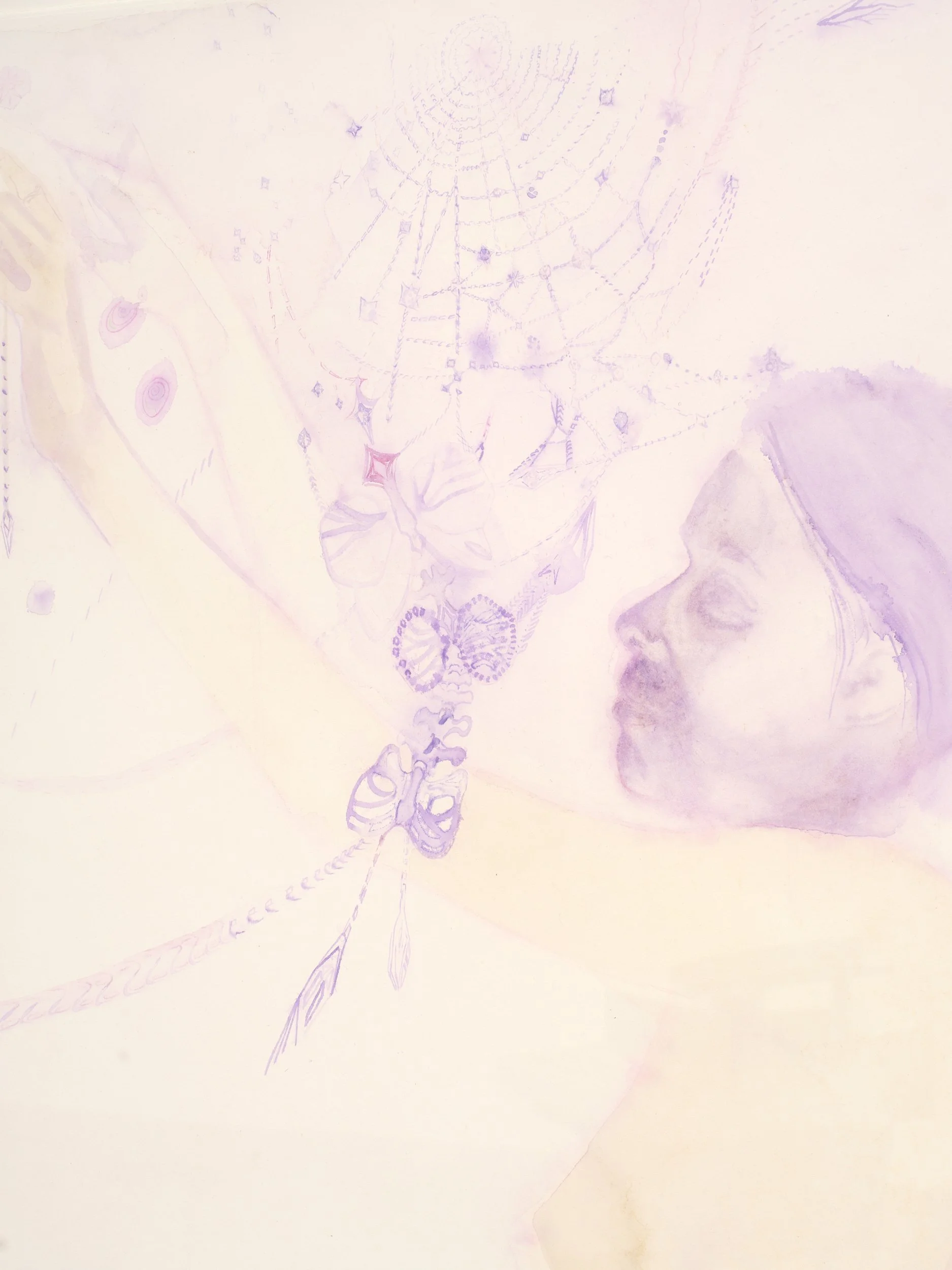   Untitled 2  (detail) 2008 watercolour on paper 750 x 570mm (image) 990 x 800mm (framed) 