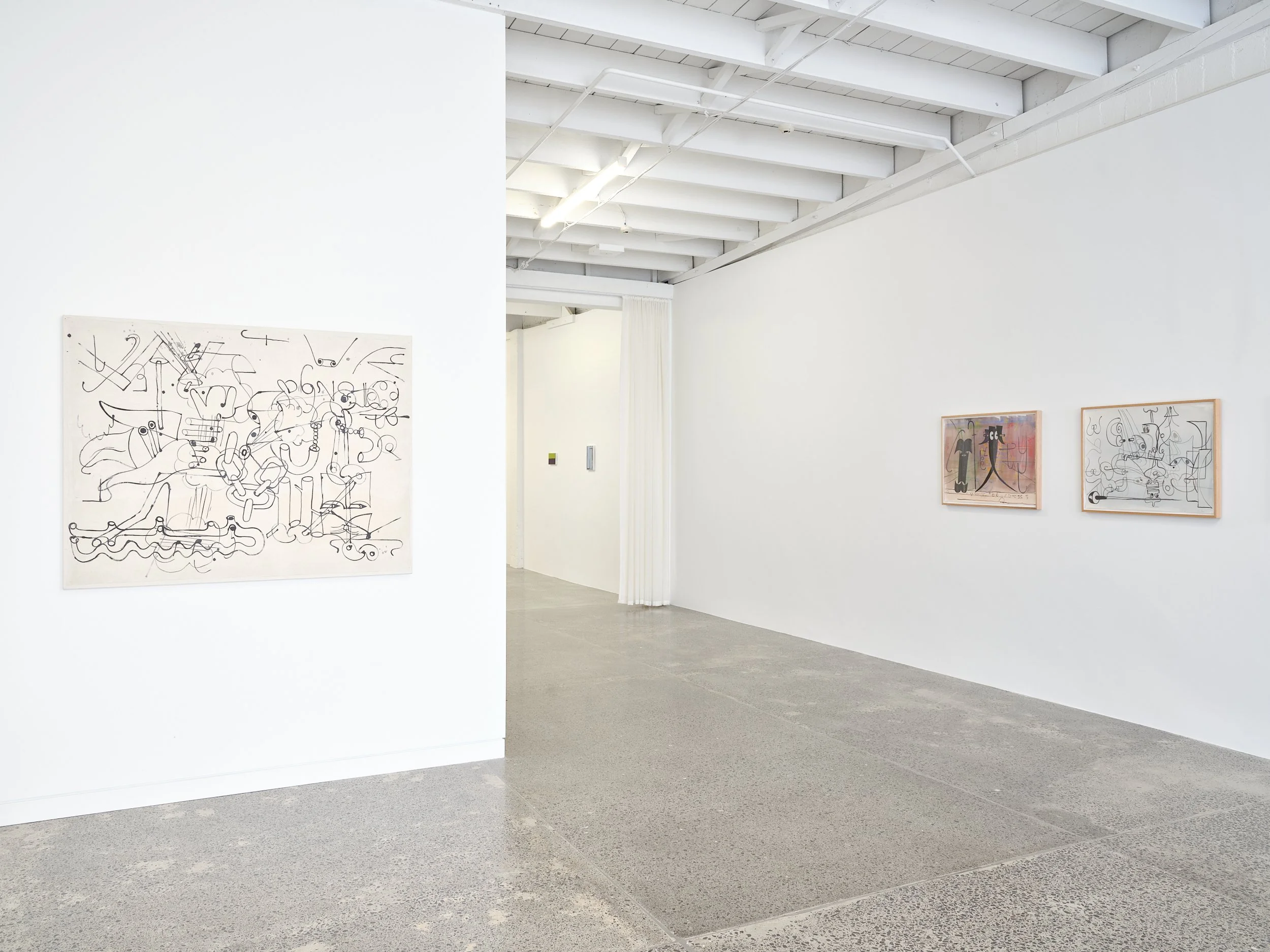   Bones  - installation view 