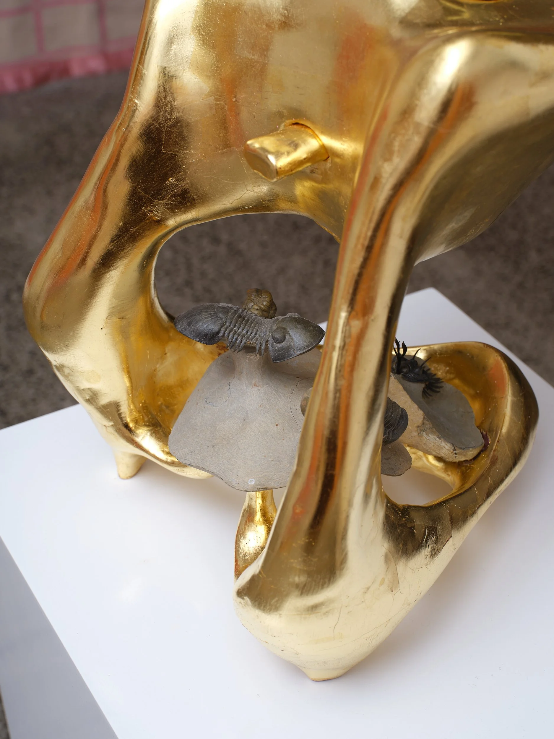   Self Portrait with Chamber Music: feat. Walliserops, Flying Paralejurus, Crotacephalina and Reedops  (detail) 2025-26 Wood, gesso, bole, gold, limestone 255 x 230 x 360mm 